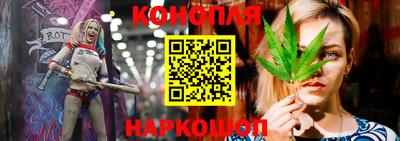 индика Кинель