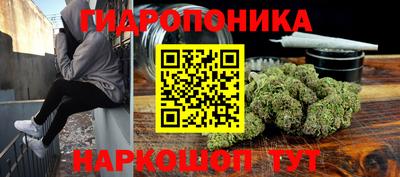 индика Кинель