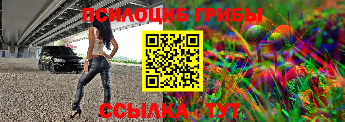 Галлюциногенные грибы Psilocybe Кохма