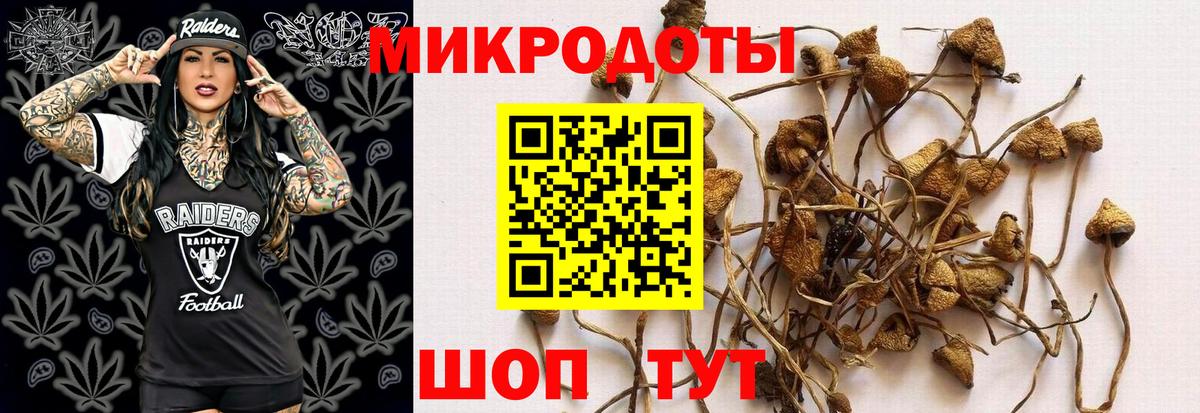 Псилоцибиновые грибы Cubensis  Вход с VPN  Кохма 