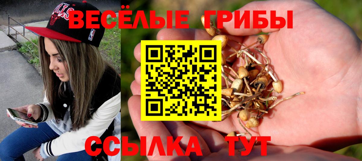 Кохма  Вход с VPN  ГАШИШ  КОКАИН  Экстази  МАРИХУАНА  Купить наркотики  МЕФ  